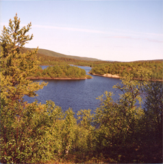 Fichten und Wasser - Kirsten Kötter, Painting Site-specific: 69° N / 27° O (Serie: NordNordOst), Berg hinter Utsjoki, Finnland, 27.06.2003, 21.00 - 23.00, Aquarell, 30 × 40 cm, Foto, Text (13/36)